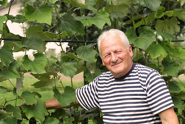 Gospodin Mirko iz Karlovca, Hrvatska